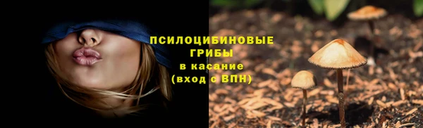 МДМА Белокуриха