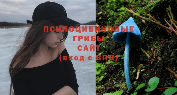 ГАЛЛЮЦИНОГЕННЫЕ ГРИБЫ Покачи