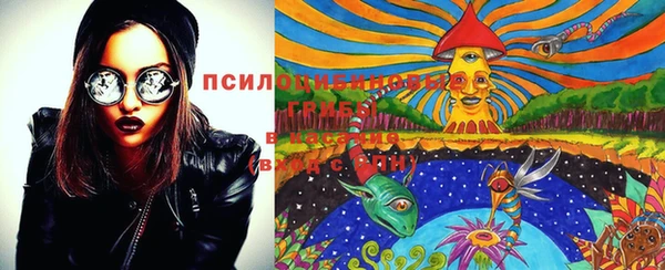 МДМА Белокуриха
